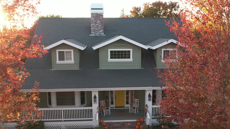 Best Chimney Flashing Repair  in Superior, CO